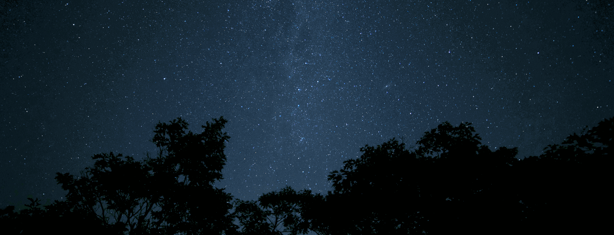 Chat na Web.cz - Levný chat s botem